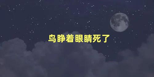 鸟睁着眼睛死了