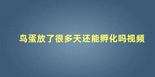 鸟蛋放了很多天还能孵化吗视频