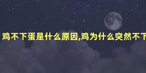 鸡不下蛋是什么原因,鸡为什么突然不下蛋了