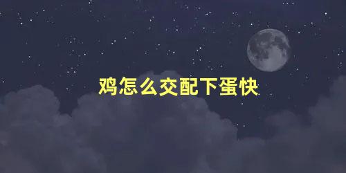 鸡怎么交配下蛋快