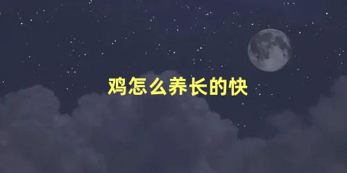 鸡怎么养长的快