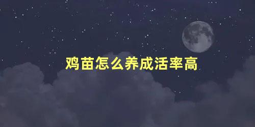 鸡苗怎么养成活率高