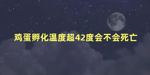 鸡蛋孵化温度超42度会不会死亡