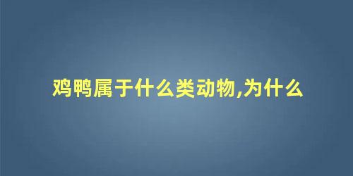 鸡鸭属于什么类动物,为什么