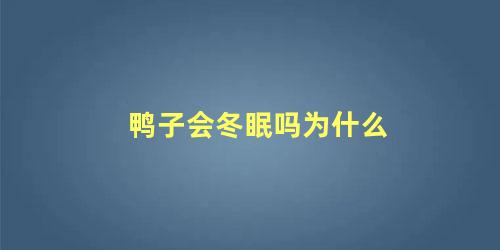 鸭子会冬眠吗为什么