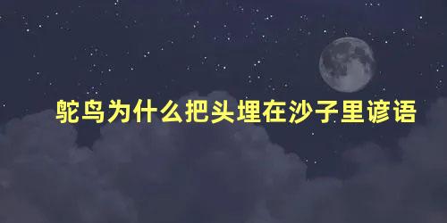 鸵鸟为什么把头埋在沙子里谚语