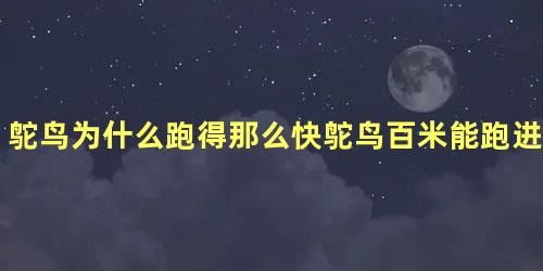 鸵鸟为什么跑得那么快鸵鸟百米能跑进九秒吗