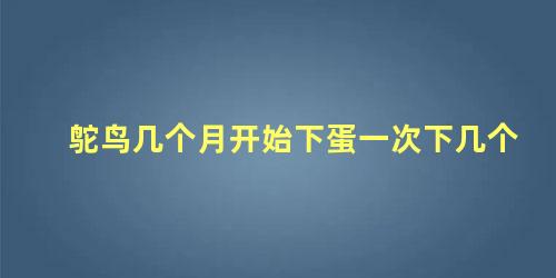 鸵鸟几个月开始下蛋一次下几个