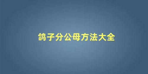 鸽子分公母方法大全