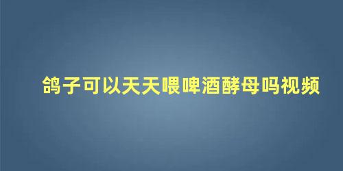 鸽子可以天天喂啤酒酵母吗视频