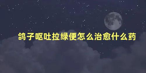 鸽子呕吐拉绿便怎么治愈什么药