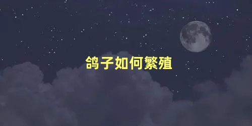 鸽子如何繁殖