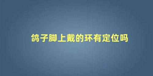 鸽子脚上戴的环有定位吗