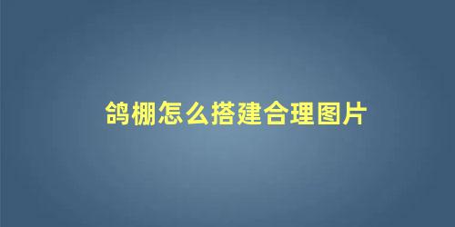 鸽棚怎么搭建合理图片