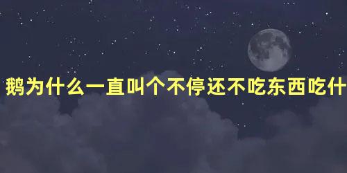 鹅为什么一直叫个不停还不吃东西吃什么药好