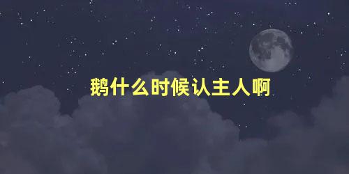 鹅什么时候认主人啊