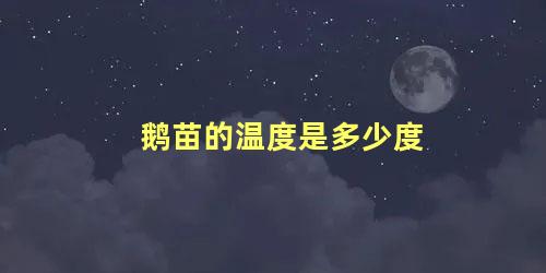 鹅苗的温度是多少度