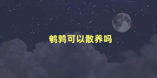 鹌鹑可以散养吗