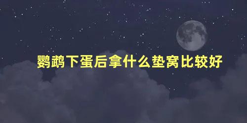 鹦鹉下蛋后拿什么垫窝比较好