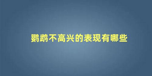 鹦鹉不高兴的表现有哪些