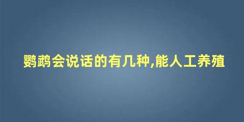 鹦鹉会说话的有几种,能人工养殖