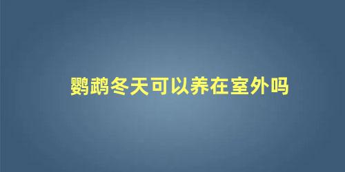 鹦鹉冬天可以养在室外吗