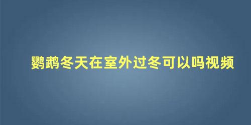 鹦鹉冬天在室外过冬可以吗视频