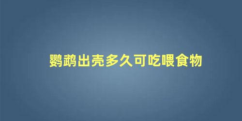 鹦鹉出壳多久可吃喂食物