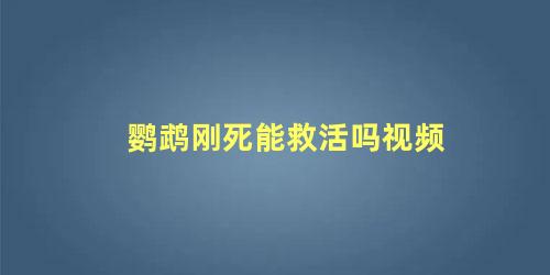 鹦鹉刚死能救活吗视频