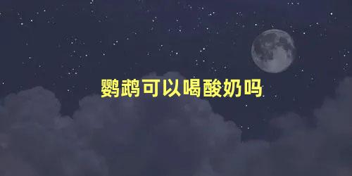 鹦鹉可以喝酸奶吗