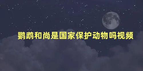 鹦鹉和尚是国家保护动物吗视频