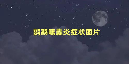 鹦鹉嗉囊炎症状图片