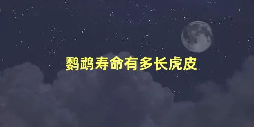 鹦鹉寿命有多长虎皮