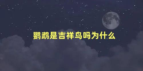 鹦鹉是吉祥鸟吗为什么