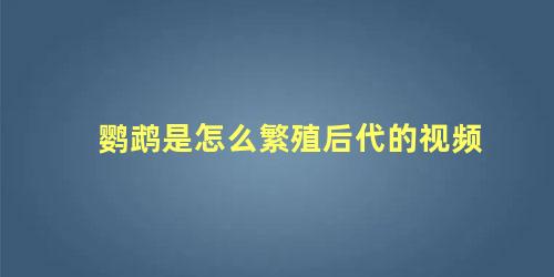 鹦鹉是怎么繁殖后代的视频