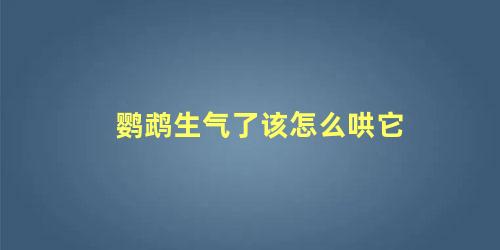 鹦鹉生气了该怎么哄它