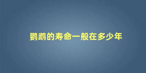 鹦鹉的寿命一般在多少年