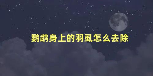 鹦鹉身上的羽虱怎么去除