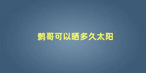 鹩哥可以晒多久太阳