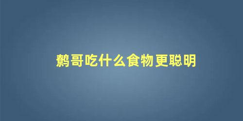 鹩哥吃什么食物更聪明