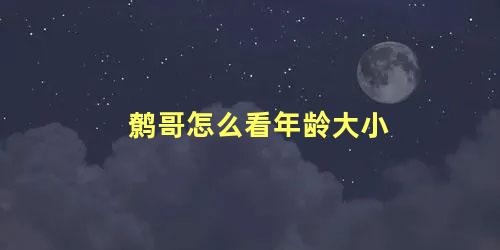 鹩哥怎么看年龄大小