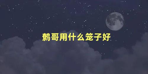 鹩哥用什么笼子好