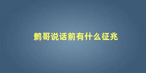 鹩哥说话前有什么征兆