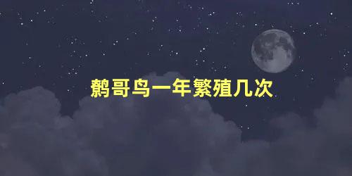 鹩哥鸟一年繁殖几次