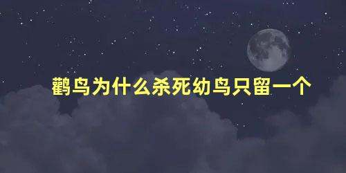 鹳鸟为什么杀死幼鸟只留一个