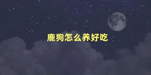 鹿狗怎么养好吃