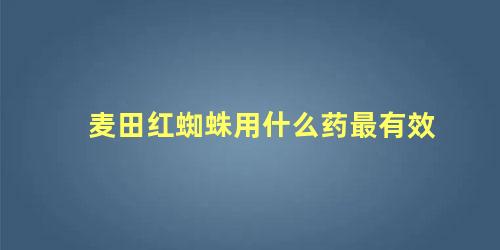 麦田红蜘蛛用什么药最有效