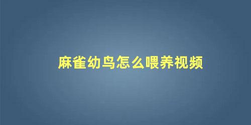 麻雀幼鸟怎么喂养视频