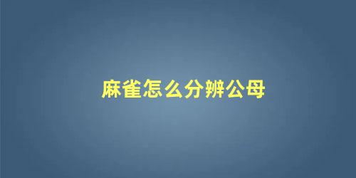 麻雀怎么分辨公母