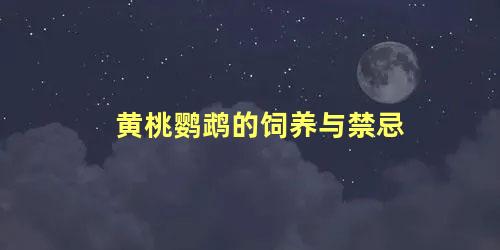 黄桃鹦鹉的饲养与禁忌